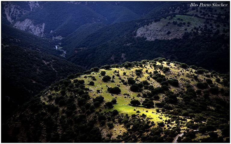 Apartamentos Turisticos Rurales Monte De Las Animas Valdepenas de Jaen 外观 照片