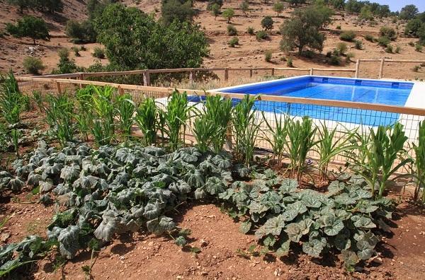 Apartamentos Turisticos Rurales Monte De Las Animas Valdepenas de Jaen 外观 照片